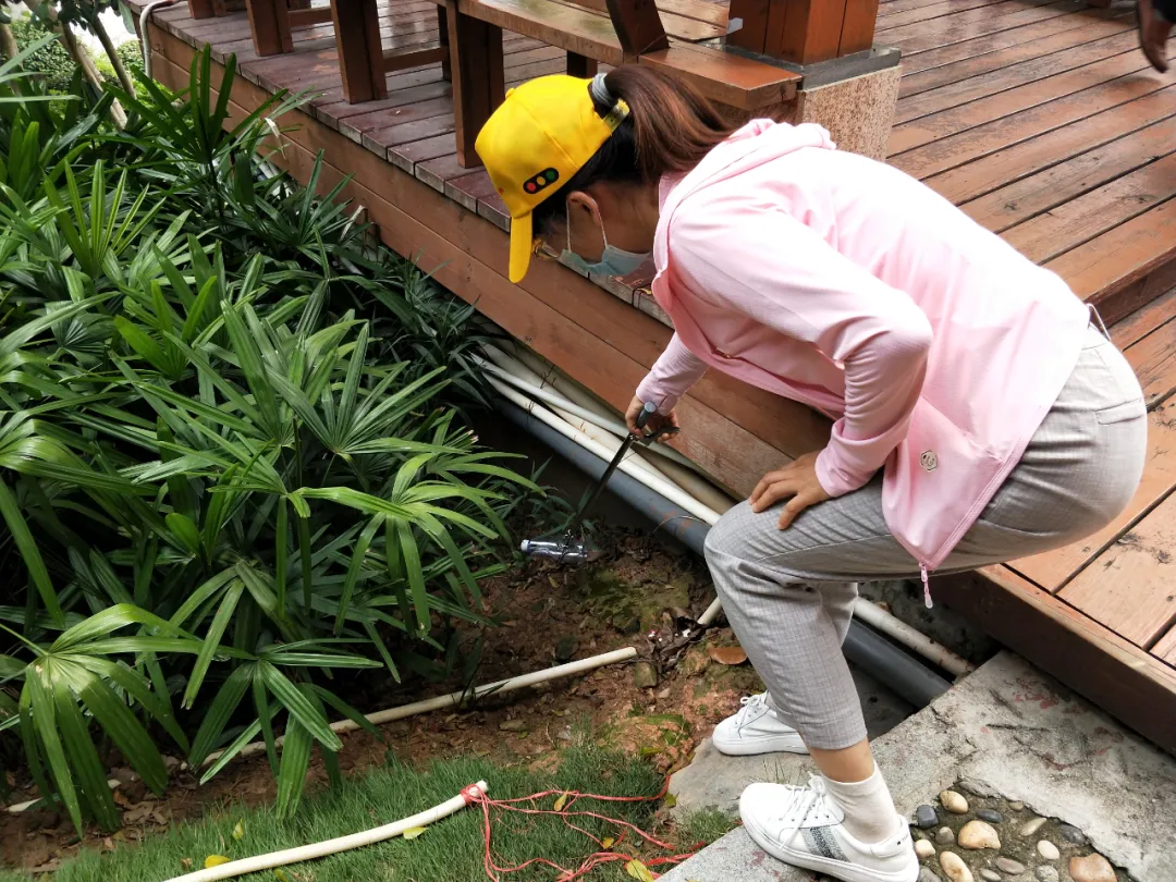 图片23.png 图片23.png